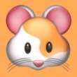 WWW,se538·COM网站APPAPP应用