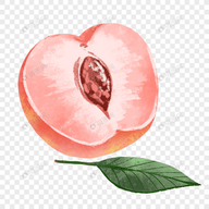 91香蕉APPAPP应用